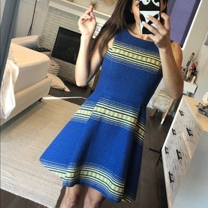 Alice + Olivia Blue and Yellow Striped Fit-and-Flare Mini Dress